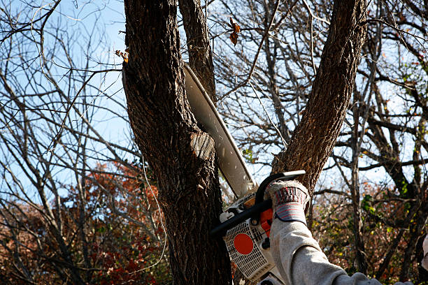 Mulching Services in Kane, PA